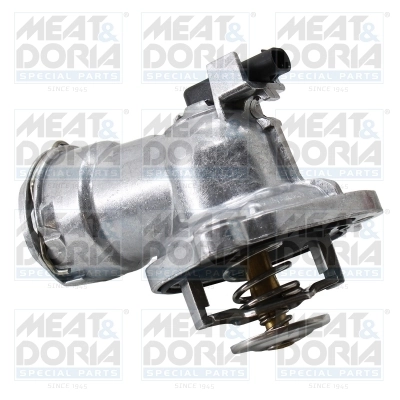Thermostat, coolant
